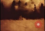 Image of atomic bomb hits tree grove Nevada United States USA, 1955, second 32 stock footage video 65675078375