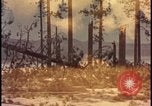 Image of atomic bomb hits tree grove Nevada United States USA, 1955, second 33 stock footage video 65675078375