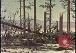 Image of atomic bomb hits tree grove Nevada United States USA, 1955, second 35 stock footage video 65675078375