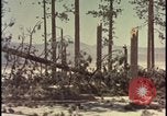 Image of atomic bomb hits tree grove Nevada United States USA, 1955, second 36 stock footage video 65675078375