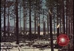 Image of atomic bomb hits tree grove Nevada United States USA, 1955, second 38 stock footage video 65675078375