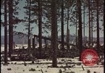 Image of atomic bomb hits tree grove Nevada United States USA, 1955, second 39 stock footage video 65675078375