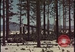Image of atomic bomb hits tree grove Nevada United States USA, 1955, second 40 stock footage video 65675078375