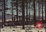 Image of atomic bomb hits tree grove Nevada United States USA, 1955, second 41 stock footage video 65675078375