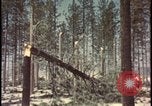 Image of atomic bomb hits tree grove Nevada United States USA, 1955, second 45 stock footage video 65675078375