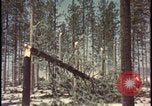 Image of atomic bomb hits tree grove Nevada United States USA, 1955, second 46 stock footage video 65675078375