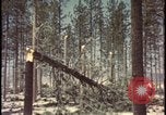 Image of atomic bomb hits tree grove Nevada United States USA, 1955, second 47 stock footage video 65675078375