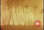 Image of atomic bomb burning palm trees Nevada United States USA, 1955, second 19 stock footage video 65675078377