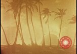 Image of atomic bomb burning palm trees Nevada United States USA, 1955, second 20 stock footage video 65675078377