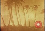 Image of atomic bomb burning palm trees Nevada United States USA, 1955, second 21 stock footage video 65675078377