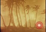 Image of atomic bomb burning palm trees Nevada United States USA, 1955, second 22 stock footage video 65675078377