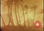 Image of atomic bomb burning palm trees Nevada United States USA, 1955, second 23 stock footage video 65675078377