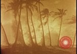 Image of atomic bomb burning palm trees Nevada United States USA, 1955, second 24 stock footage video 65675078377