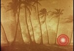 Image of atomic bomb burning palm trees Nevada United States USA, 1955, second 25 stock footage video 65675078377