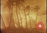 Image of atomic bomb burning palm trees Nevada United States USA, 1955, second 26 stock footage video 65675078377