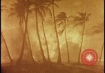 Image of atomic bomb burning palm trees Nevada United States USA, 1955, second 27 stock footage video 65675078377