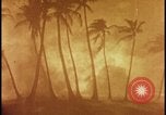 Image of atomic bomb burning palm trees Nevada United States USA, 1955, second 28 stock footage video 65675078377