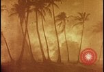 Image of atomic bomb burning palm trees Nevada United States USA, 1955, second 29 stock footage video 65675078377