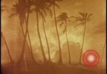 Image of atomic bomb burning palm trees Nevada United States USA, 1955, second 30 stock footage video 65675078377