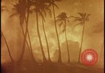 Image of atomic bomb burning palm trees Nevada United States USA, 1955, second 31 stock footage video 65675078377