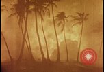 Image of atomic bomb burning palm trees Nevada United States USA, 1955, second 32 stock footage video 65675078377