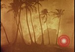 Image of atomic bomb burning palm trees Nevada United States USA, 1955, second 33 stock footage video 65675078377