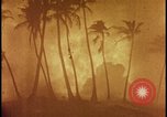 Image of atomic bomb burning palm trees Nevada United States USA, 1955, second 35 stock footage video 65675078377