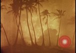 Image of atomic bomb burning palm trees Nevada United States USA, 1955, second 36 stock footage video 65675078377