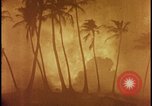 Image of atomic bomb burning palm trees Nevada United States USA, 1955, second 37 stock footage video 65675078377