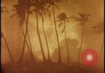 Image of atomic bomb burning palm trees Nevada United States USA, 1955, second 38 stock footage video 65675078377