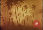 Image of atomic bomb burning palm trees Nevada United States USA, 1955, second 40 stock footage video 65675078377