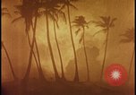Image of atomic bomb burning palm trees Nevada United States USA, 1955, second 44 stock footage video 65675078377