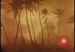 Image of atomic bomb burning palm trees Nevada United States USA, 1955, second 45 stock footage video 65675078377