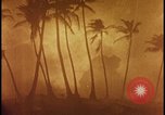 Image of atomic bomb burning palm trees Nevada United States USA, 1955, second 46 stock footage video 65675078377