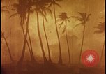Image of atomic bomb burning palm trees Nevada United States USA, 1955, second 47 stock footage video 65675078377
