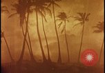 Image of atomic bomb burning palm trees Nevada United States USA, 1955, second 48 stock footage video 65675078377