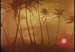 Image of atomic bomb burning palm trees Nevada United States USA, 1955, second 49 stock footage video 65675078377