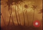 Image of atomic bomb burning palm trees Nevada United States USA, 1955, second 50 stock footage video 65675078377