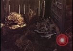 Image of atomic bomb shock wave hits huts Nevada United States USA, 1955, second 20 stock footage video 65675078378