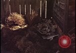 Image of atomic bomb shock wave hits huts Nevada United States USA, 1955, second 21 stock footage video 65675078378