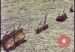 Image of atomic bomb testing of combustible insulation samples Nevada United States USA, 1955, second 17 stock footage video 65675078379