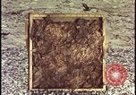 Image of atomic bomb testing of combustible insulation samples Nevada United States USA, 1955, second 20 stock footage video 65675078379