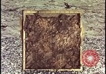 Image of atomic bomb testing of combustible insulation samples Nevada United States USA, 1955, second 21 stock footage video 65675078379