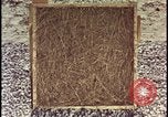 Image of atomic bomb testing of combustible insulation samples Nevada United States USA, 1955, second 22 stock footage video 65675078379
