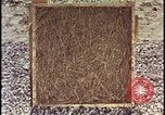 Image of atomic bomb testing of combustible insulation samples Nevada United States USA, 1955, second 23 stock footage video 65675078379