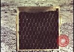 Image of atomic bomb testing of combustible insulation samples Nevada United States USA, 1955, second 24 stock footage video 65675078379