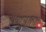 Image of atomic bomb testing of combustible insulation samples Nevada United States USA, 1955, second 49 stock footage video 65675078379