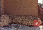 Image of atomic bomb testing of combustible insulation samples Nevada United States USA, 1955, second 51 stock footage video 65675078379