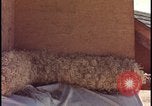 Image of atomic bomb testing of combustible insulation samples Nevada United States USA, 1955, second 52 stock footage video 65675078379