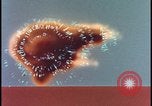Image of animated atom bomb radiation Nevada United States USA, 1955, second 20 stock footage video 65675078381